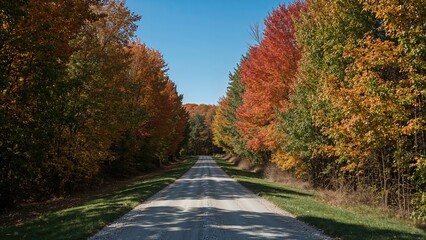 Obraz premium Scenic Trail Amidst Colorful Forest