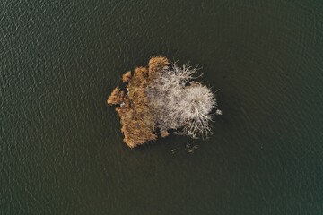 Small island with the trees in the middle of lake during cloudy rainy autumn day. Lithuanian nature. Lithuania, Lake Didziulis. Autumn