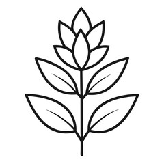 sage flower line art vector illustration on-white background.