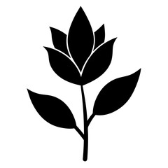 sage flower silhouette  vector on white background