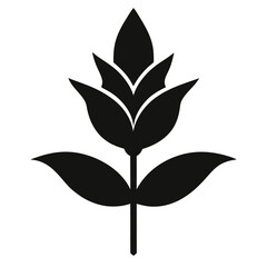 sage flower silhouette vector on white-background