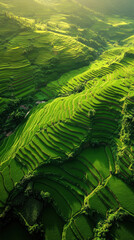 Fototapeta premium Would you like it shorter or more descriptive?