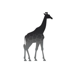Obraz premium Elegant Giraffe Silhouette, Nature Scene, Minimalist Illustration