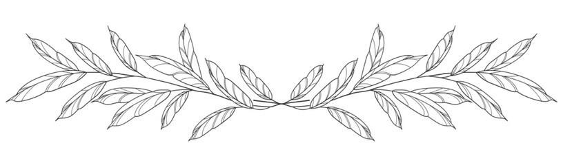 Sketch Floral Botany Collection. flower drawings. Black and white with line art on white backgrounds. Hand Drawn Botanical Illustrations.Vector.