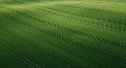 Aerial view of green field with diagonal lines and subtle texture