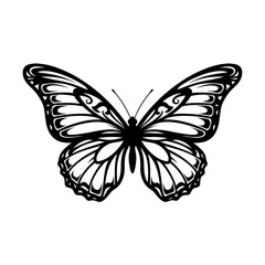 Obraz premium Elegant Black and White Butterfly Illustration: Line Art, Insect Graphic, Nature Design, Monochrome Winged Creature