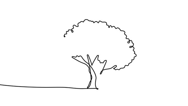 Animation of a single line drawing of a tree. Continuous contour movement of a tree. Continuous video with one line.