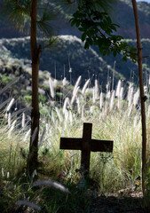 Wooden cross in the forest. memory. Cros in the forest, between grass in nice light