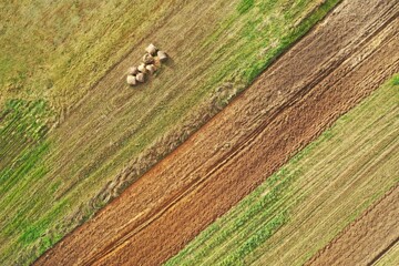 Autumn background. Lithuanian landscape from the top. Fields in the october