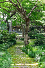 蘇州・拙政園