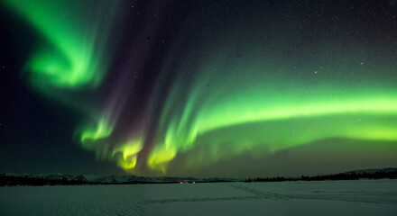 Naklejka premium Northern Lights glowing in night sky over snowy landscape 