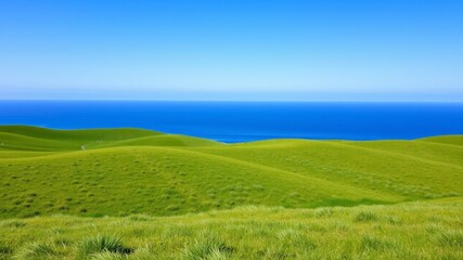 Green field and blue sky and sea