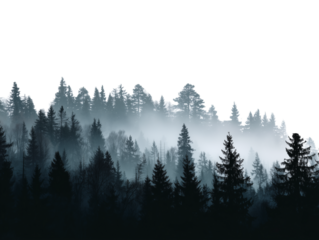 An ethereal landscape bathed in mist, with silhouetted trees and an atmospheric essence of tranquility.