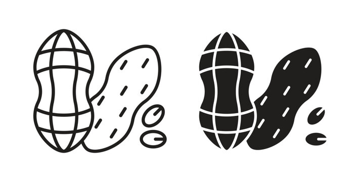 Peanut icon vector illustration. Flat design. Graphic design vector symbols.