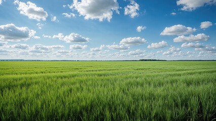 Fototapeta premium Gorgeous landscape featuring a luminous sky