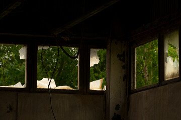 Obraz premium A spacious room that features numerous windows, allowing natural light to flood in, with trees beautifully situated behind them, creating a serene atmosphere