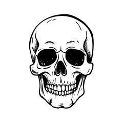 Fototapeta premium Vintage Human Skull Vector On White Background 