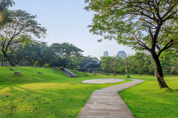 Public park or city forest with high-rise buildings cityscape in metropolis city center