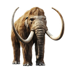 Mammoth isolated on transparent background