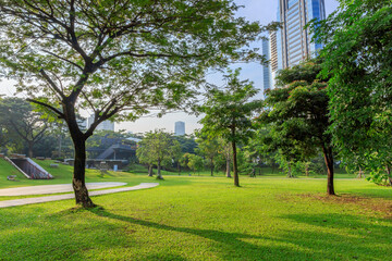 Public park or city forest with high-rise buildings cityscape in metropolis city center