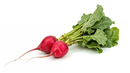Bundle of crimson radishes against a white backdrop