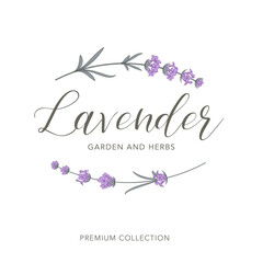 Lavender flower vector logo. Floral design label