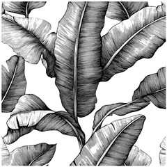 Antique large foliage detail, hand-drawn tropical pattern, vintage botany sketch, engraved banana leaf texture, vector illustration, leafy jungle vibe, rainforest plants, tropical nature. © Vintage Studio