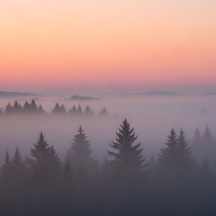 Misty forest at sunrise with colorful sky