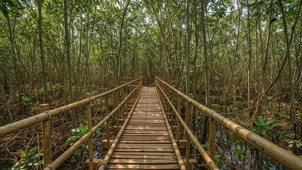 Bamboo bridge pathway in a dense mangrove forest surrounded by small plants and water reflecting the greenery and natural habitat.