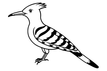Modern Hoopoe Vector Art