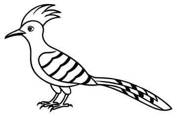 Modern Hoopoe Vector Art