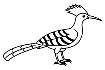 Modern Hoopoe Vector Art