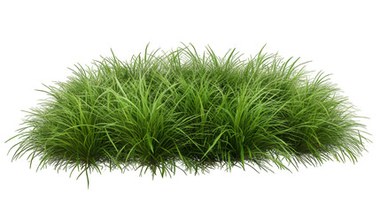 Juicy Green Grass Isolated on Transparent Background