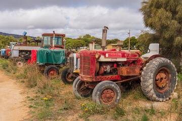 Colourful old tractors parked in a line