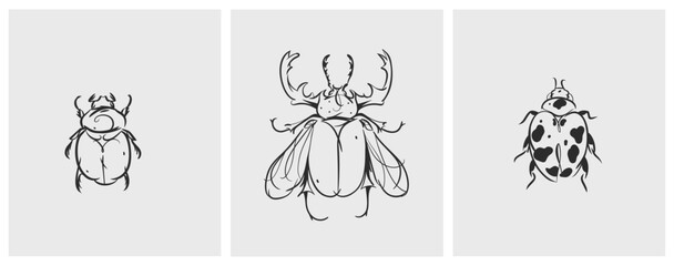 Hand drawn abstract vector graphic illustration collection set with cute, stylized insect bugs sketch.Trendy modern wild nature design concept sketch.Vector line bugs symbol. animal icons