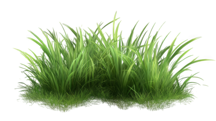 Juicy Green Grass Isolated on Transparent Background