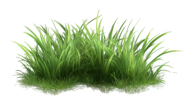 Juicy Green Grass Isolated on Transparent Background - Powered by Adobe