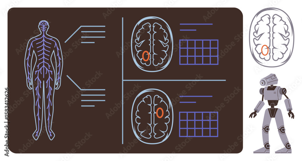 Poster human body neural system and brain scan with highlighted areas alongside robot demonstrating ai use.