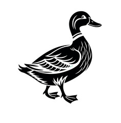 duck silhouette vector icon on white backround.