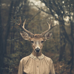 Surreal Portrait of a Deer-Human Hybrid in a Forest
