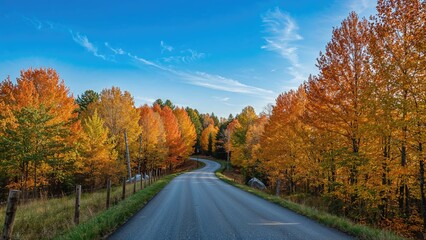 Fototapeta premium A Picturesque Road Curving Elegantly Amidst a Lush, Colorful Woodland