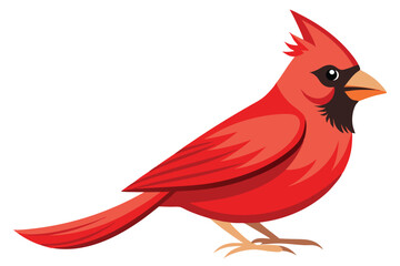 Illustration of a Vibrant Red Cardinal Bird with a Distinctive Crest and a Black Mask