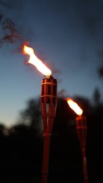 A row of tiki torches casting warm flames and smoke trails against a backdrop of silhouetted trees and twilight sky, creating a moody outdoor ambiance