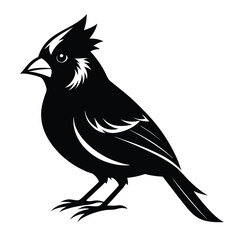 Cardinal Bird Illustration in Black and White Detailed Feather Design Vector Art Isolated on White Background