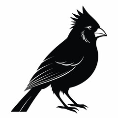 Monochrome Majestic Cardinal Illustration A Striking Bird Silhouette with Intricate Feather Details and Sharp Crest