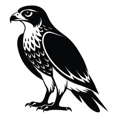 Obraz premium Majestic Falcon Standing Tall A Symbol of Power and Precision Wildlife Illustration