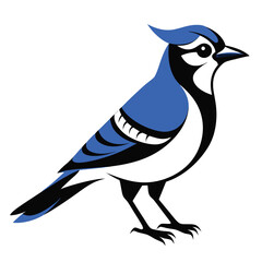 Stylized Blue Jay Illustration Depicting a Bird with Striking Blue and Black Plumage Standing Sideways