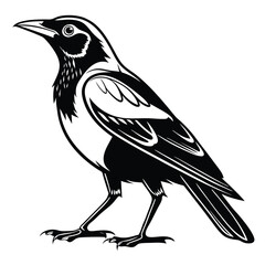 Elegant Black and White Illustration of a Magpie Standing Tall with Intricate Feather Details