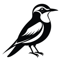 Monochrome Bird Illustration Showcasing Simple Beauty and Graceful Lines of a Songbird in a Stylized Form