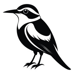 Minimalist Bird Illustration A Striking Black and White Depiction of Wildlife Elegance